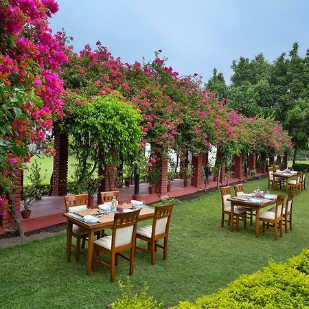 Hotel Naturoville Ayurvedic And Yoga Retreat Rishīkesh Zewnętrze zdjęcie
