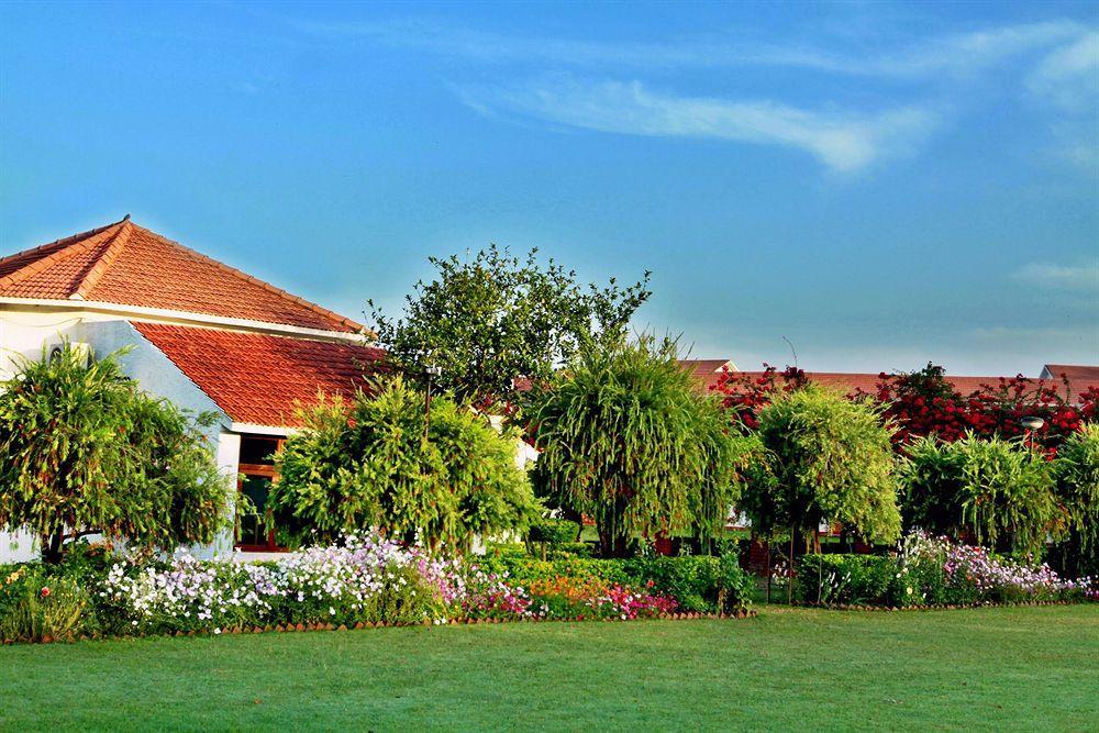Hotel Naturoville Ayurvedic And Yoga Retreat Rishīkesh Zewnętrze zdjęcie