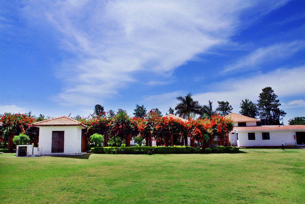 Hotel Naturoville Ayurvedic And Yoga Retreat Rishīkesh Zewnętrze zdjęcie