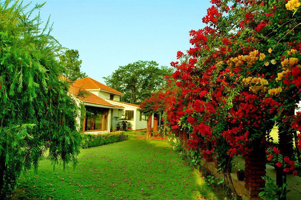 Hotel Naturoville Ayurvedic And Yoga Retreat Rishīkesh Zewnętrze zdjęcie