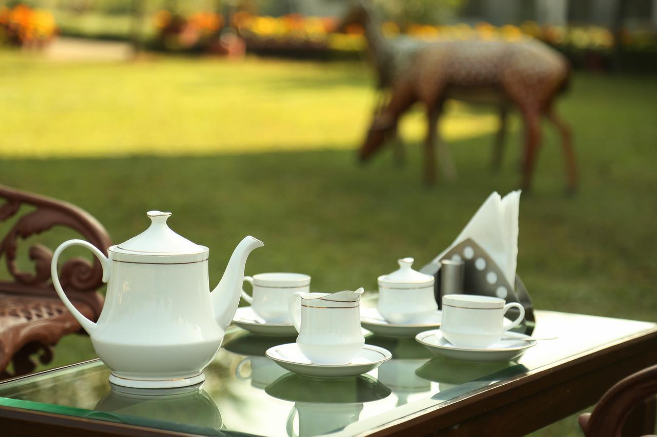 Hotel Naturoville Ayurvedic And Yoga Retreat Rishīkesh Zewnętrze zdjęcie