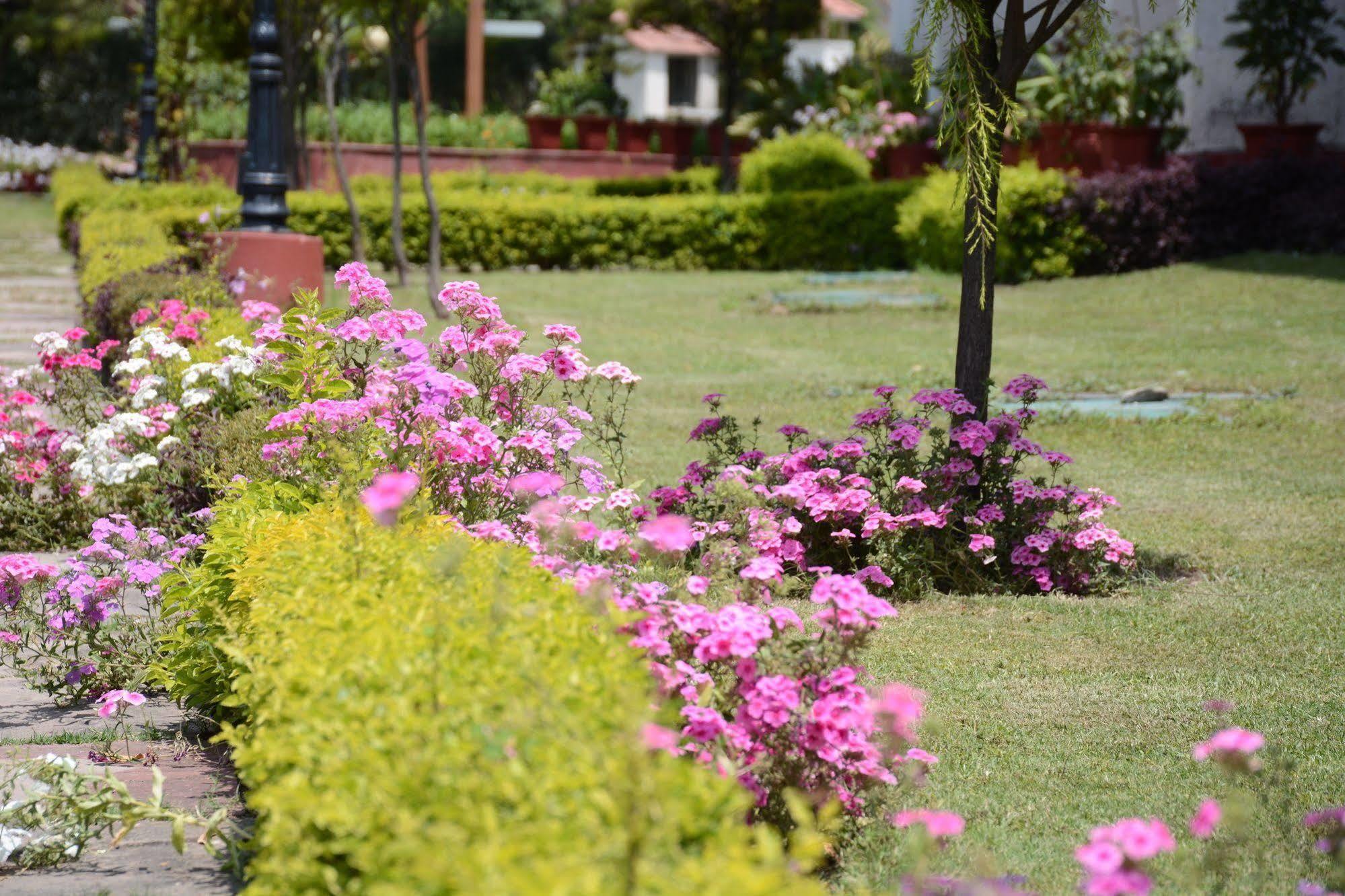 Hotel Naturoville Ayurvedic And Yoga Retreat Rishīkesh Zewnętrze zdjęcie