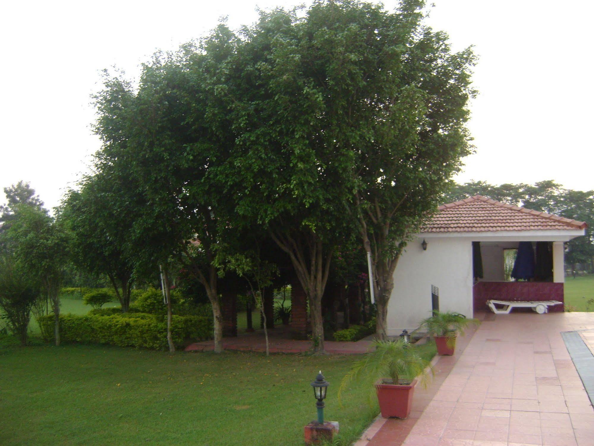 Hotel Naturoville Ayurvedic And Yoga Retreat Rishīkesh Zewnętrze zdjęcie