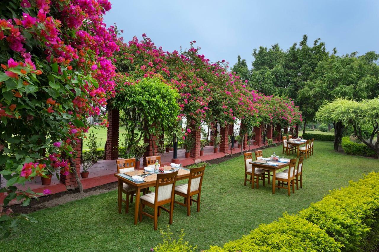 Hotel Naturoville Ayurvedic And Yoga Retreat Rishīkesh Zewnętrze zdjęcie